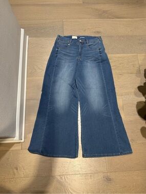 Wide-Leg Blue Women’s Jeans - Anthropology Pilcro Brand